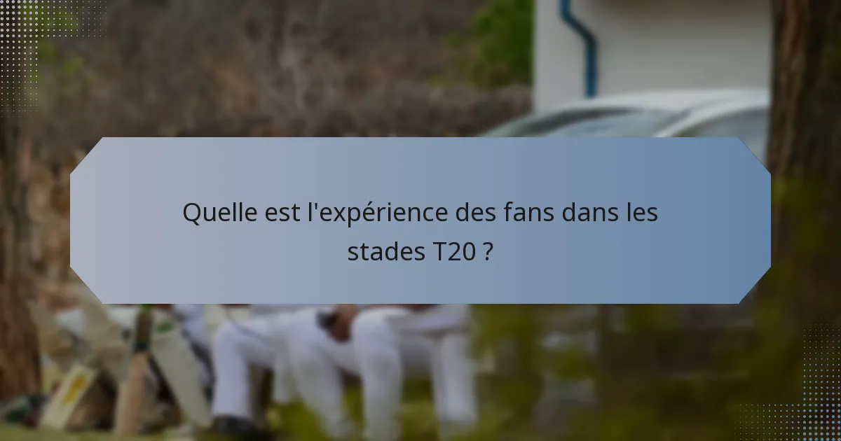 Quelle est l'expérience des fans dans les stades T20 ?
