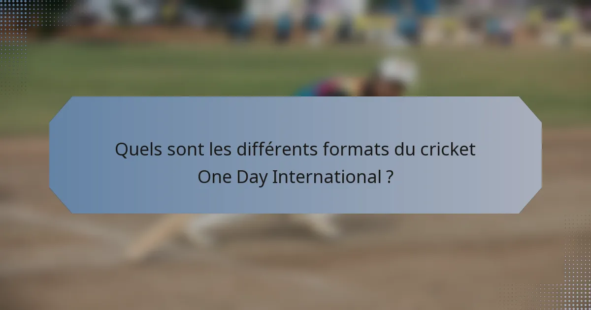 Quels sont les différents formats du cricket One Day International ?
