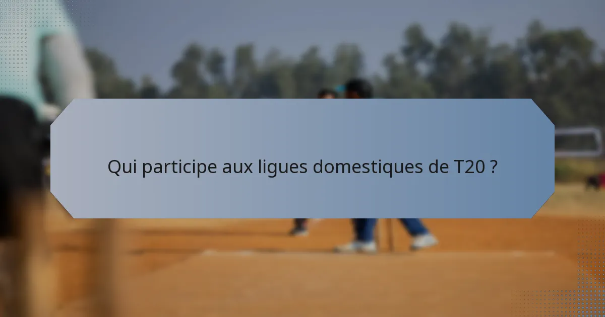 Qui participe aux ligues domestiques de T20 ?